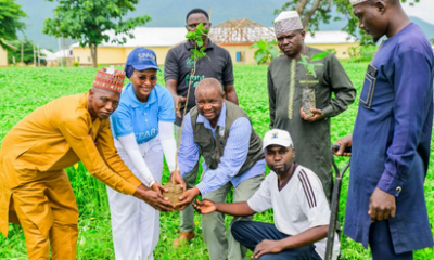 Tree Planting