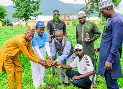 Tree Planting